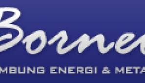 Resmi Didepak, BEI Beri Waktu 20 Hari Transaksikan Saham Borneo Lumbung Energi & Metal (BORN) di Pasar Negoisasi