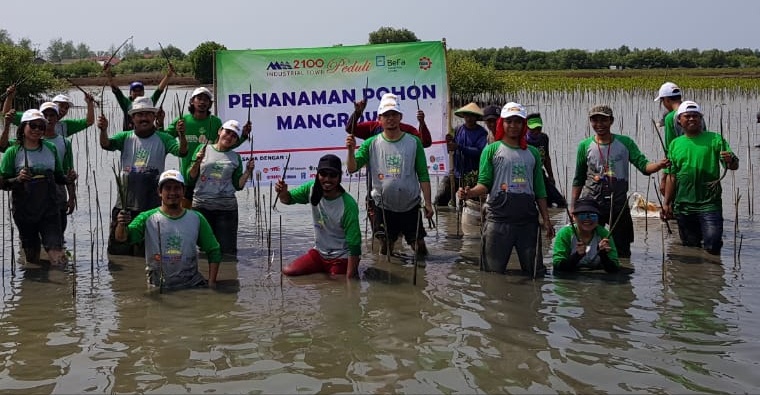 Bekasi Fajar Tanam 13 Ribu Pohon Mangrove