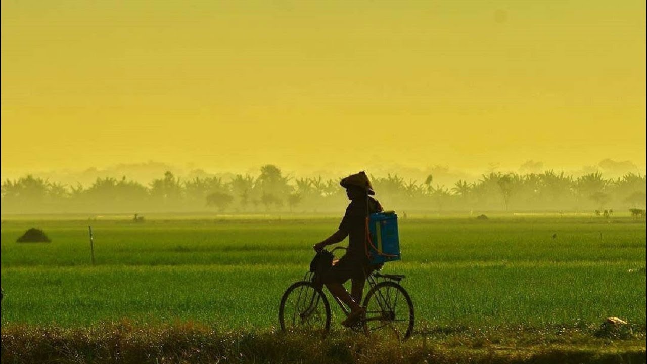 Klaim Kementerian Pertanian Benar tentang Surplus Stok Pangan Nasional