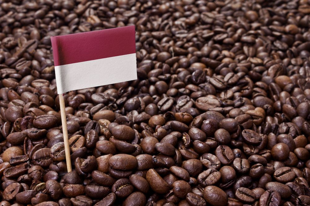 Mentan Apresiasi Kerja Keras Petani dan Pengusaha Pengolahan Kopi