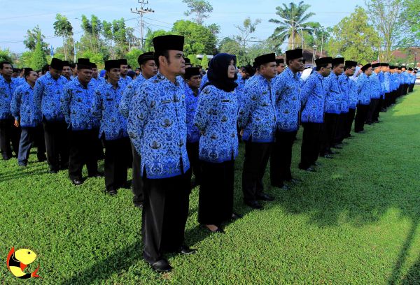 Sistem Ranking Atasi Peserta Seleksi CPNS yang tak lolos Passing Grade