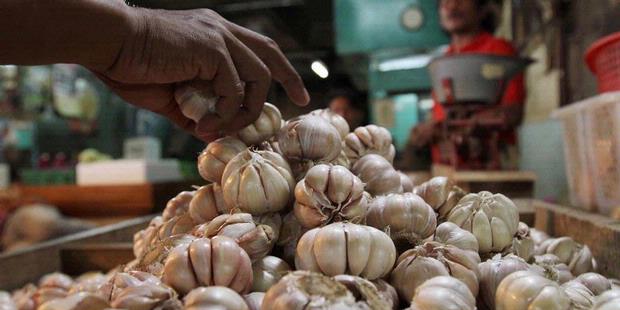 Menko Perekonomian Bantah Menteri Perdagangan Soal Impor Bawang Putih