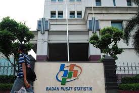 BPS: Pertumbuhan Ekonomi 2020 Kontraksi 2,07 Persen