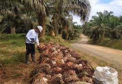 Penjamin Emisi BCA Sekuritas, Emiten Ini Listing Besok (4/1) Harga Perdana Rp1.840 Per Saham
