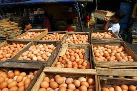 Konsumsi Meningkat, Harga Telor Ayam Merangkak Naik
