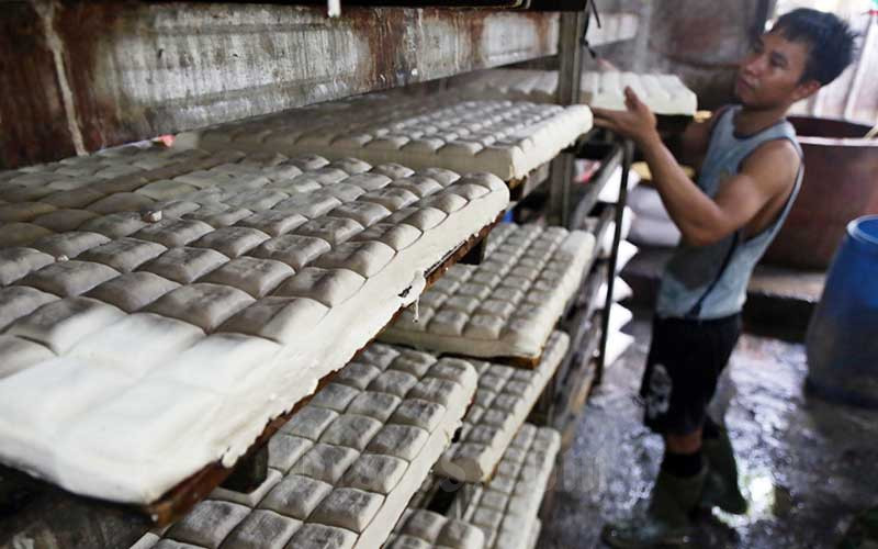 Mentan Minta Budidaya Kedelai Didukung dengan HPP