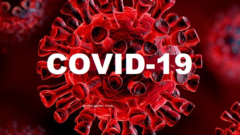 Kabar Baik Pandemi Covid-19! Bertambah 3.779 Penderita, Lebih Kecil dari Kemarin