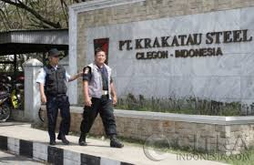 Impor Baja Tinggi, Ini Dukungan Kebijakan yang Diminta KRAS