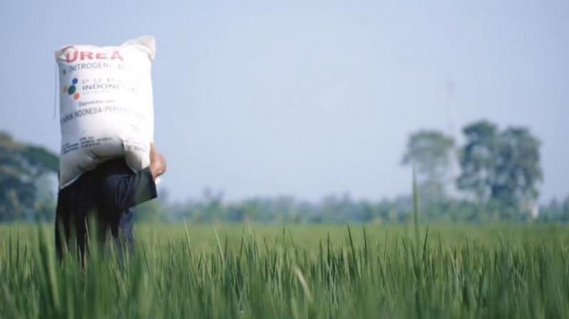 Mentan Lapor ke Wapres, Terjadi Defisit Produksi Pupuk