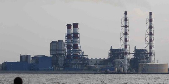 Keren! Manfaatkan Eceng Gondok, PLTU Lontar Raih Penghargaan Internasional