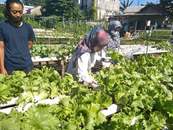 Penjualan Pangan Segar secara Online Tembus Rp21 Triliun, Ini Pemicunya