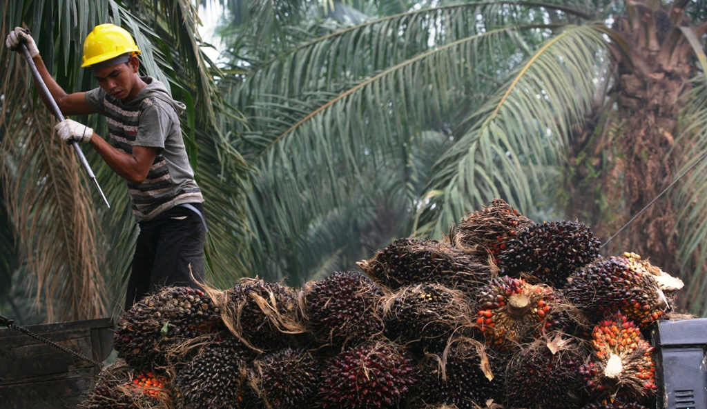 Terdampak Pandemi, Multi Agro (MAGP) Restrukturisasi Fasilitas Perbankan Rp250 Miliar
