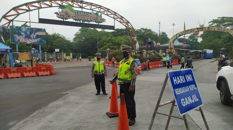 Catat! Polda Jaya Mulai Berlakukan Sanksi Tilang Pelanggar Ganjil-Genap 13 Ruas Jalan