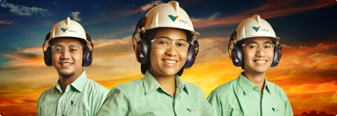 Bangun Smelter Nikel di Morowali, Ini Progres Vale Indonesia (INCO)