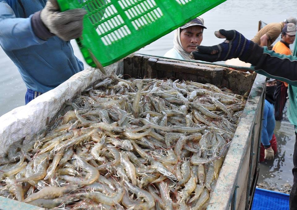 Dari Rugi, Kuartal III-2021 Laba Central (CPRO) Naik 3187 Persen Jadi Rp2,11 Triliun