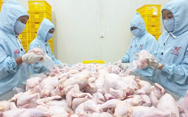 Tepis Tuduhan Pemalsuan Dokumen IPO, Begini Penjelasan Widodo Makmur (WMUU)