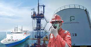 Pertamina Hulu Energi (PHE) Resmi Kuasai 51 Persen Saham Elnusa (ELSA)