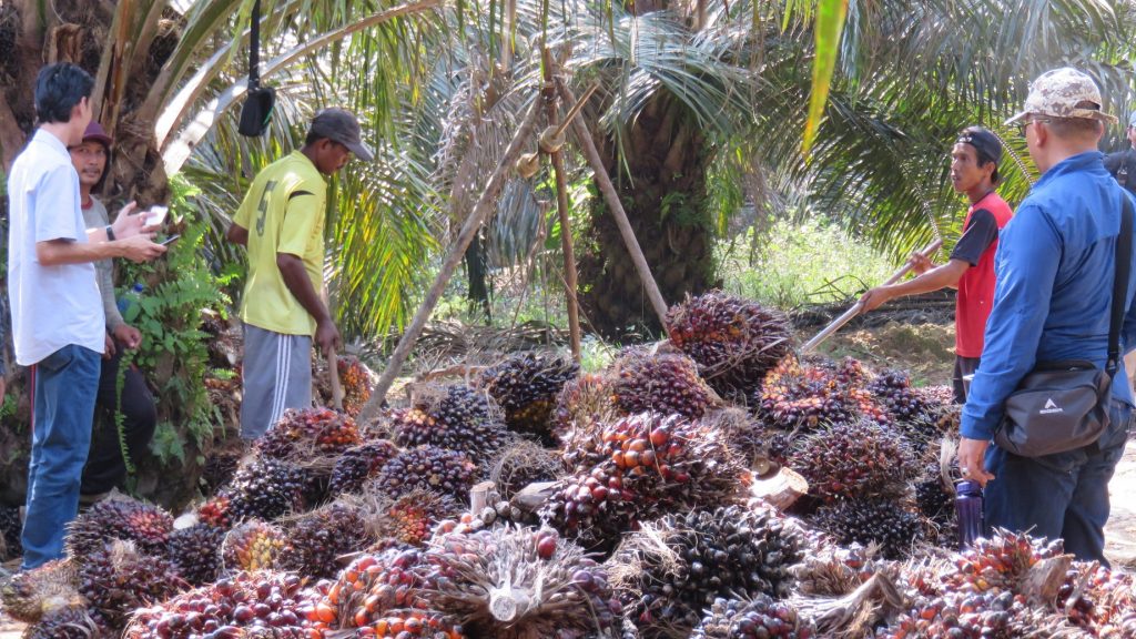 Seminggu, Pengendali Buang 18,3 Juta Saham Pinago (PNGO), Berikut Detail Transaksinya