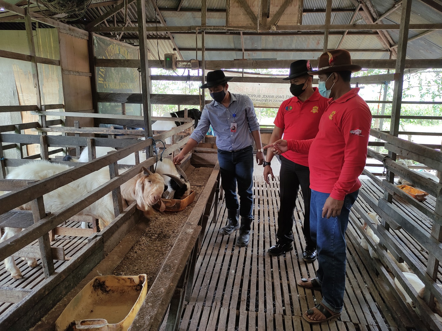 Meski Pandemi Covid-19, UMKM Peternakan dan Kuliner di Sangatta Tetap Eksis