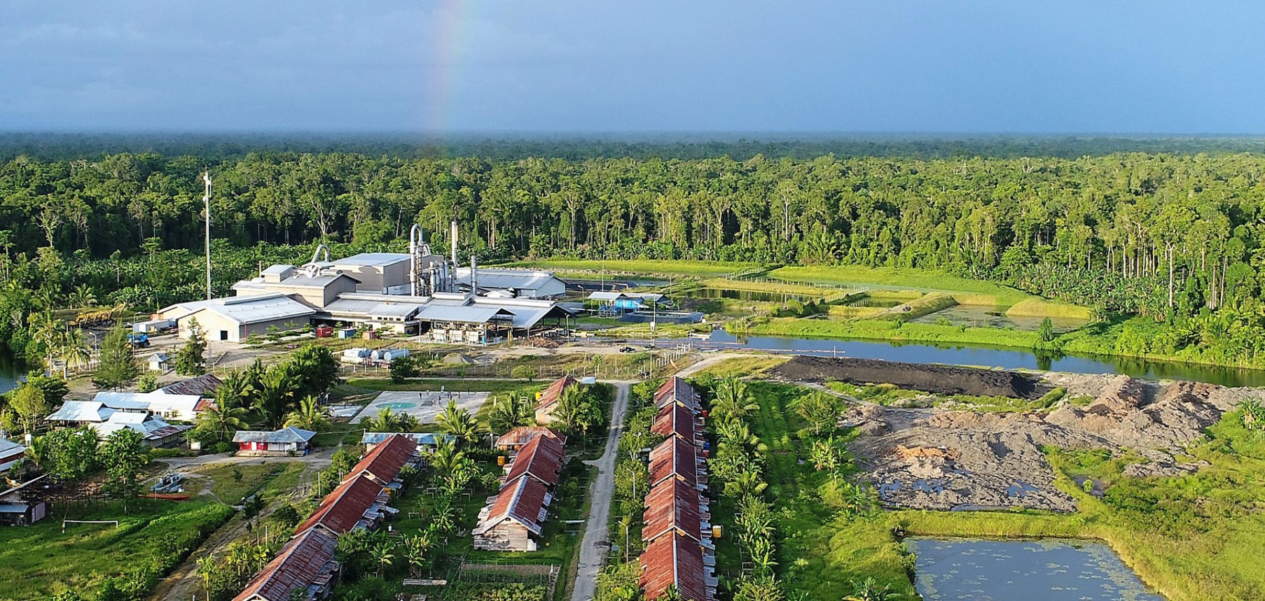 Austindo Nusantara (ANJT) Jual 39,80 Juta Saham Treasuri, Periksa Periodenya