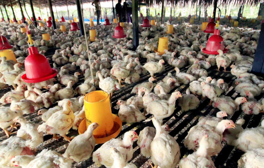 Lepas Lahan, Sreeya Sewu (SIPD) Kantongi Dana Rp82,63 Miliar