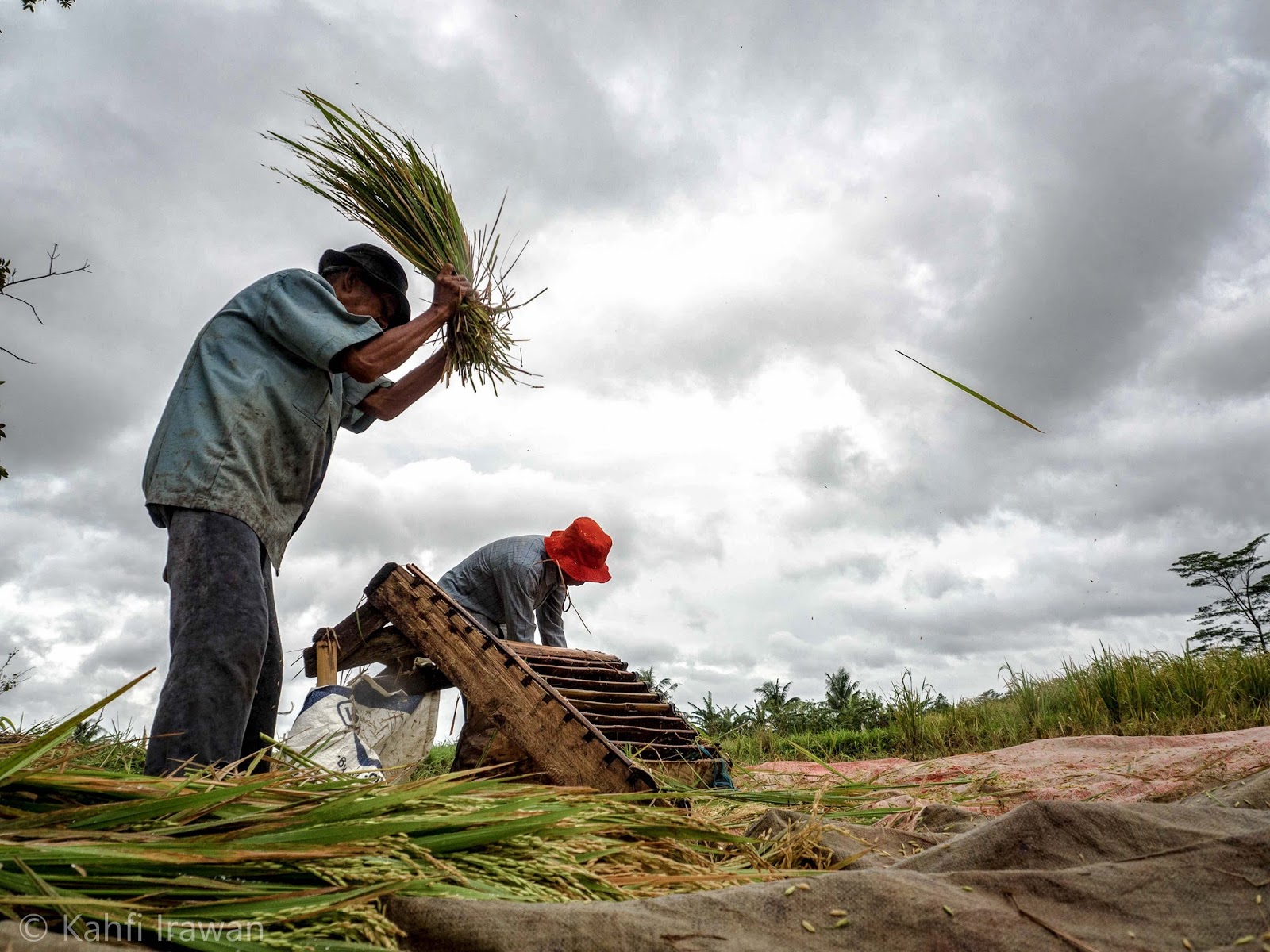 Nilai Tukar Petani Desember 2021 Naik 1,08 Persen