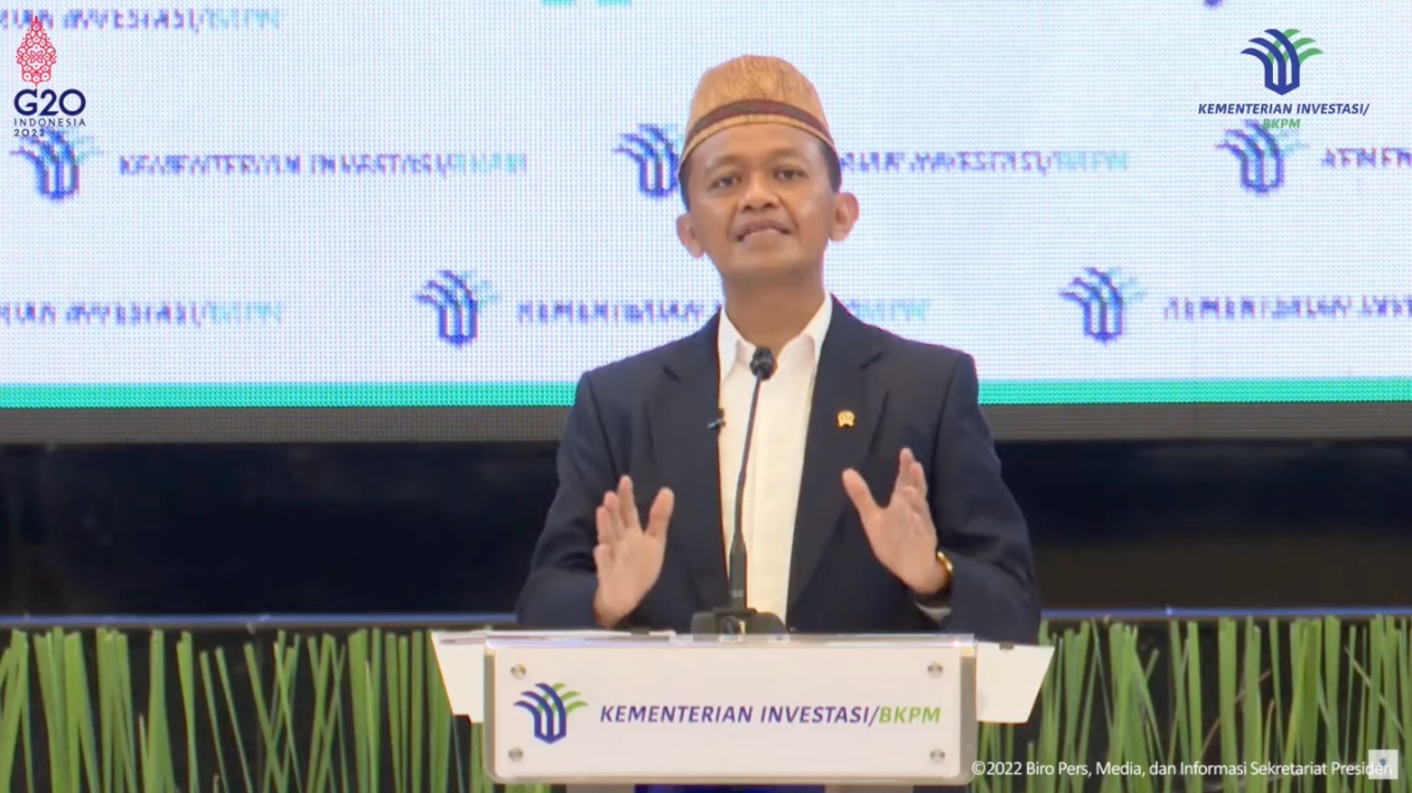 Pemerintah Cabut Ribuan IUP, HGU dan HGB Tak Produktif