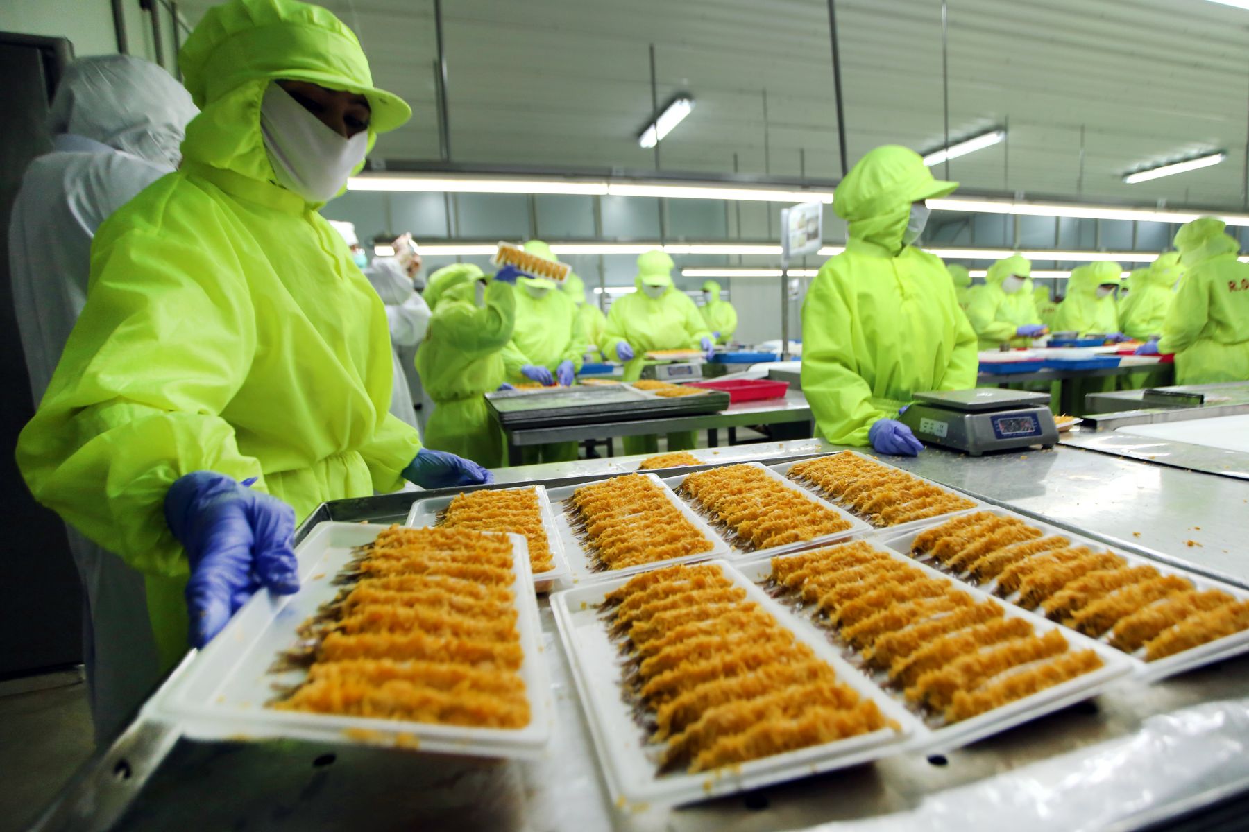 Dana IPO Emiten Milik Kaesang Panca Mitra (PMMP) Ludes, Cek Alokasinya