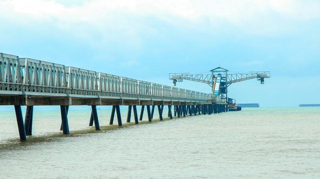 Danatama Lepas 30 Juta Lembar, Astrindo (BIPI) Kuasai 36,59 Persen Saham Sumber Energi
