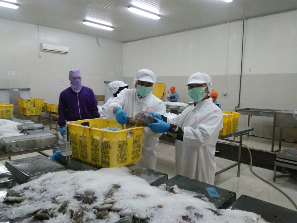 PKPU, Dua Putra Utama (DPUM) Jalankan Ini untuk Kawal Kelangsungan Usaha