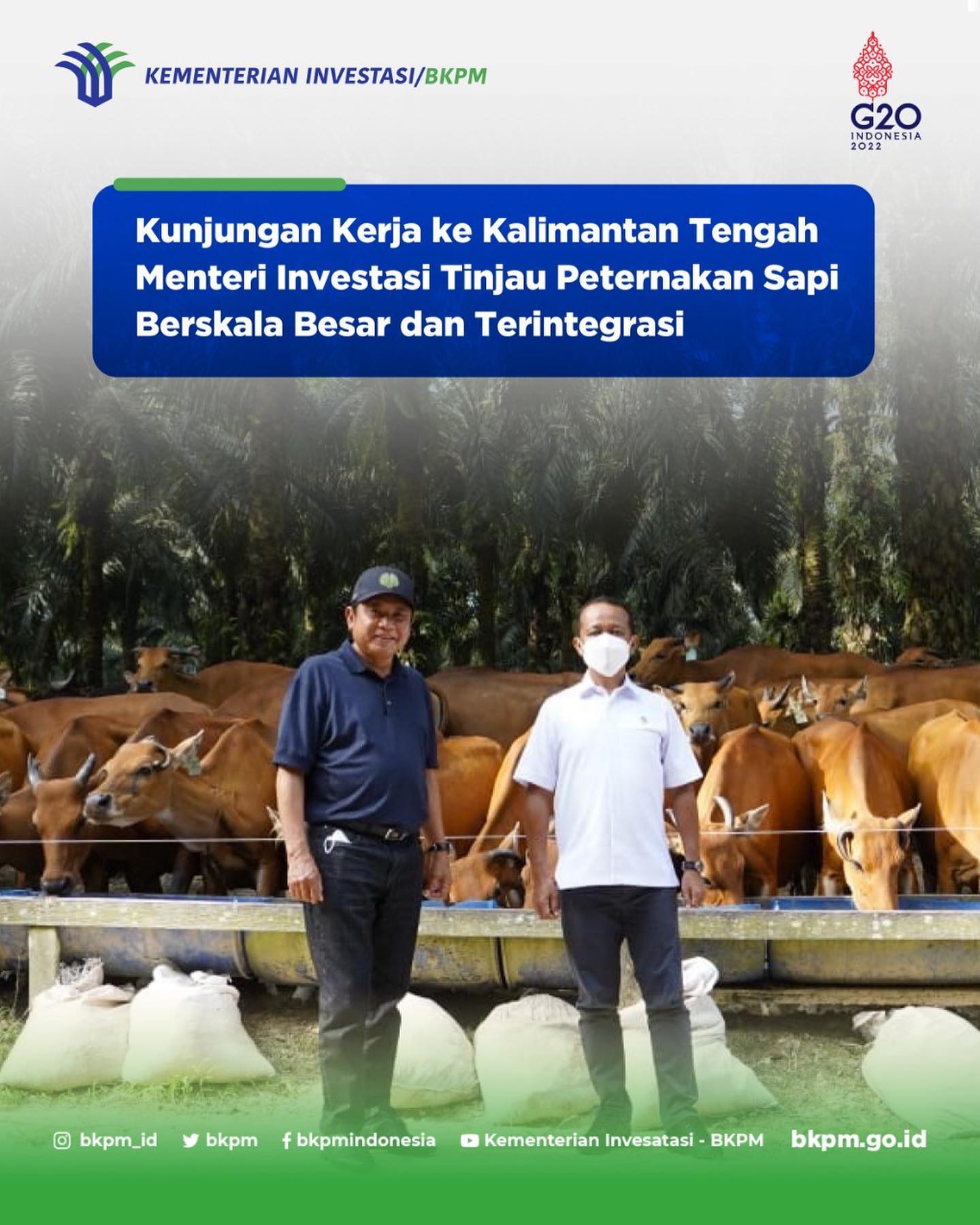 Menteri Investasi Tinjau Lokasi Peternakan Sapi Skala Besar yang Dikembangkan CBI Group
