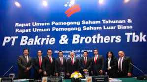 Masuk Bisnis Kendaraan Listrik, Seperti Apa Langkah Bisnis dan Strategi BNBR?
