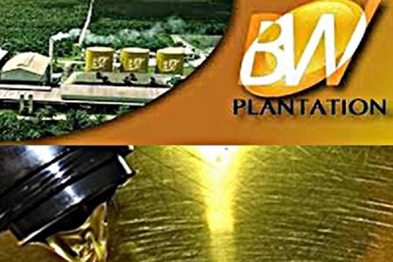 Eagle High Plantation (BWPT) Jual Lagi Anak Usaha, Ada Apa?