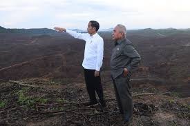 Presiden Pastikan ada Dana APBN untuk Pembangunan IKN, 20 Persen dari Rp466 Triliun