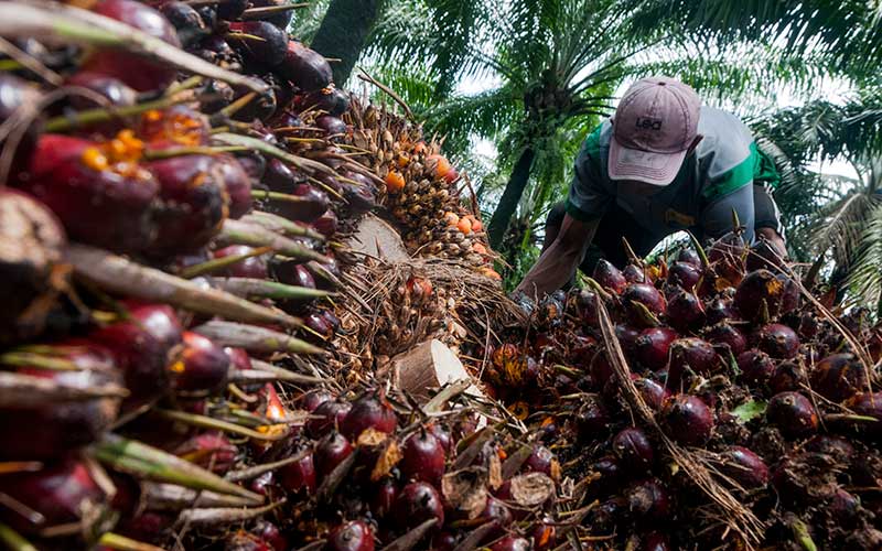Lepas 2,19 Miliar Lembar, Teladan Prima Tetapkan Kisaran Harga IPO Rp520-600 per Saham
