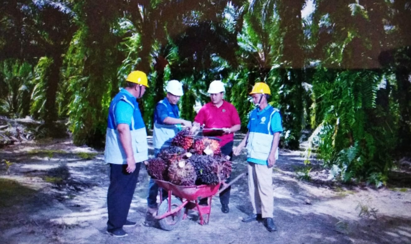 Kerja Sama SSMS - Ecogreen Oleochemicals, Implementasikan Praktik Terbaik di Industri