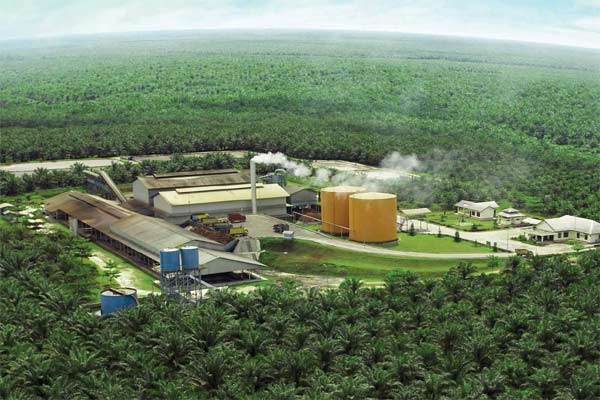 Tambah Dalam, Rugi Eagle High Plantations (BWPT) Bengkak Jadi Rp1,40 Triliun