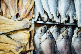 Book Building Hari Ini, Cilacap Samudera Fishing (ASHA) Tawarkan IPO Rp100-125 per Saham