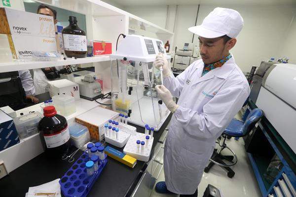 Bayar Utang, Bio Farma Suntik Modal Indofarma (INAF) Rp355 Miliar