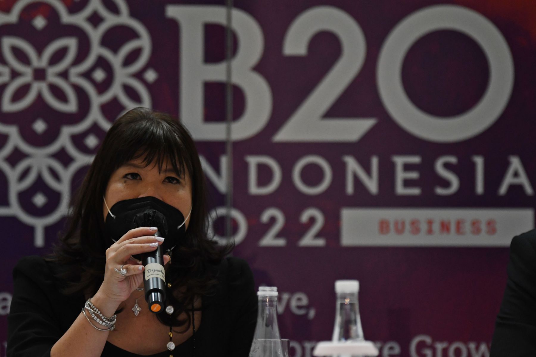 Kadin Indonesia Bentuk Carbon Market Hub, Dukung Transisi Energi