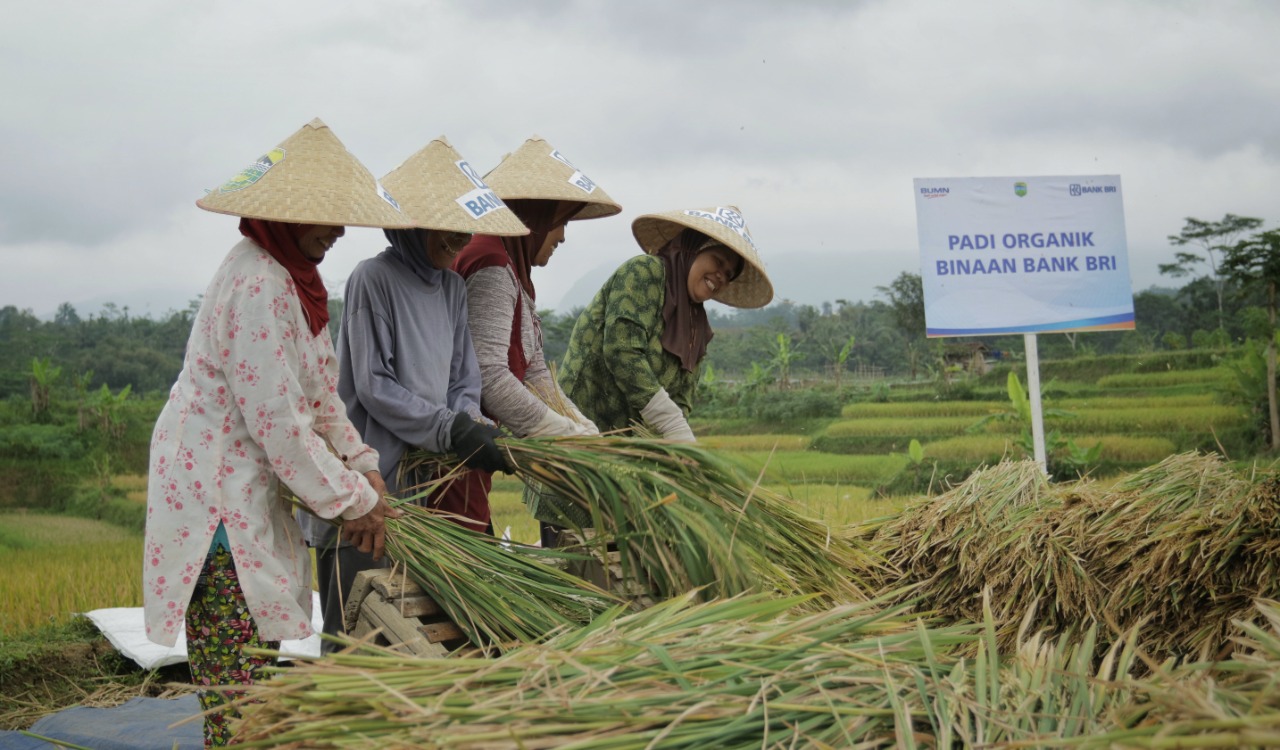 Pembiayaan Ultra Mikro Selamatkan Petani dari Jeratan Rentenir, Itu Pengalaman Leni