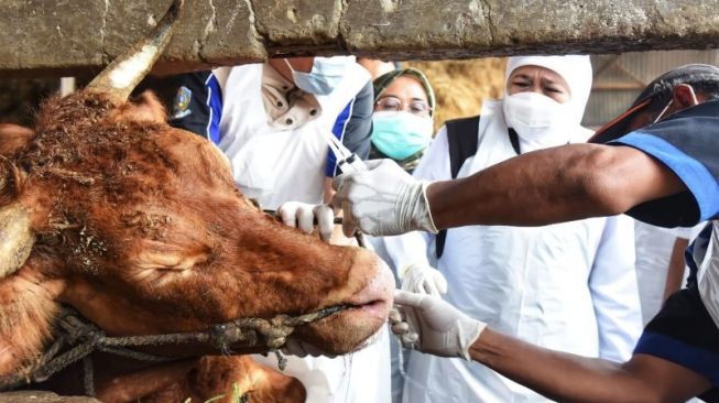 Muhammadiyah Berharap Penyakit Kuku dan Mulut Teratasi Sebelum Idul Adha