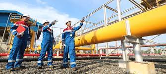 Cetak Laba Bersih USD127 Juta, Pertagas Tetap Prioritaskan Aspek HSSE dalam Operasional