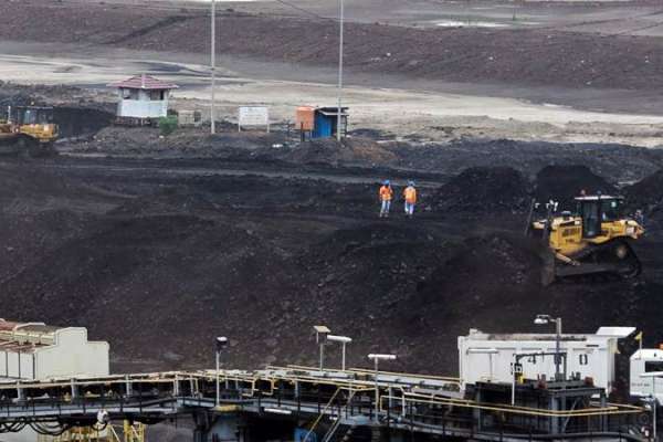Samindo Resources (MYOH) Distribusikan Dividen USD5 Juta, Intip Jadwalnya