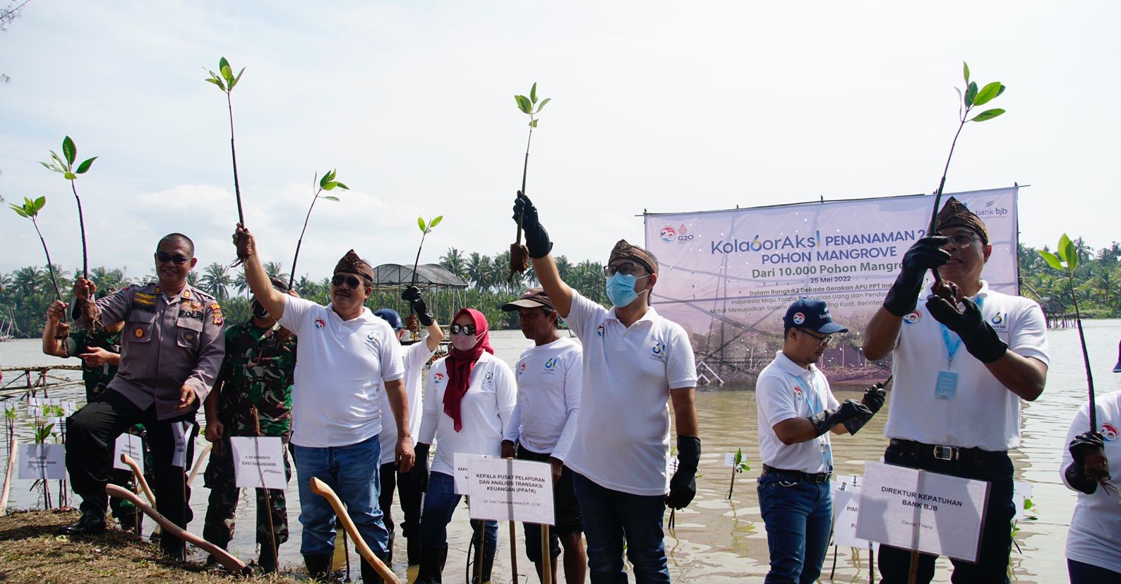 Dalam rangka 2 Dekade Gerakan APU PPT Indonesia, bank bjb kolaboraksi penanaman 2061 pohon Mangrove dari 10.000 pohon Mangrove pada tahun 2022. dok. bank bjb. Tanam 2061 Mangrove, bank bjb Dukung Indonesia Tanpa Pencucian Uang dan Pendanaan Teroris