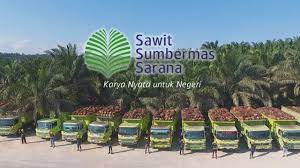 Penting! ini Jadwal Pembagian Dividen Sawit Sumbermas (SSMS) Rp763,43 Miliar