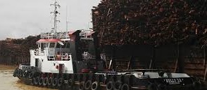 Pelayaran Nelly Dwi Putra (NELY) Tebar Dividen Tunai Rp15 per Saham