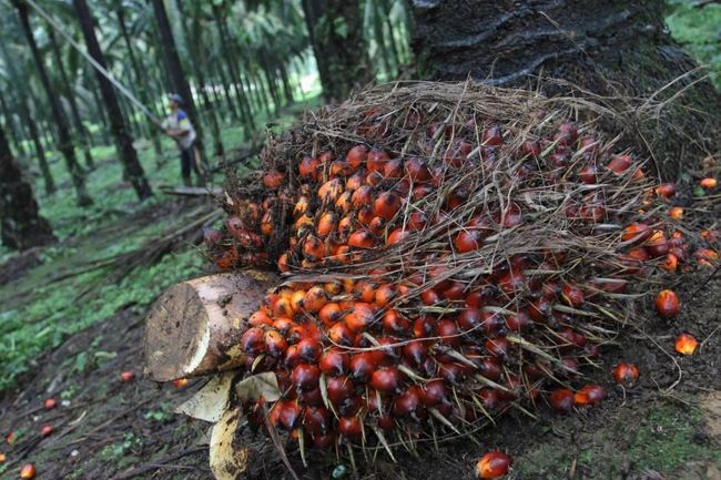 10 Juni 2022, Tunas Baru Lampung (TBLA) Buyback Obligasi Rp300 Miliar
