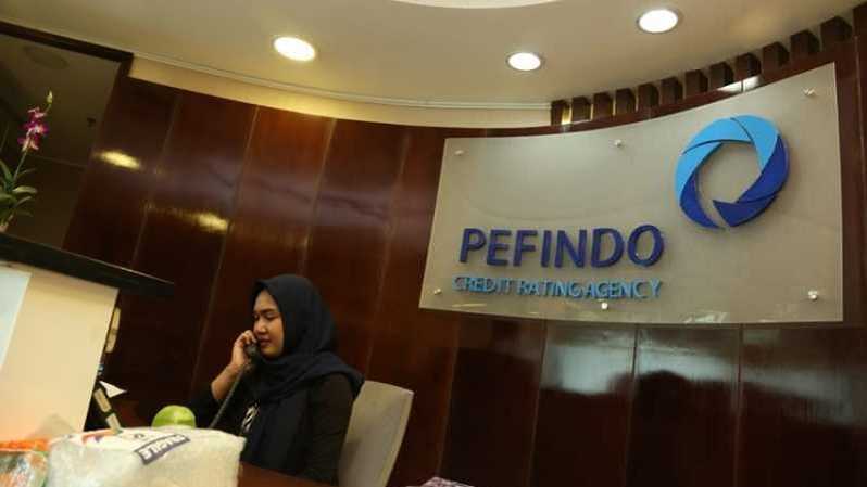 Pefindo Patenkan Peringkat Pindo Deli Pulp and Paper (PIDL) dengan idA