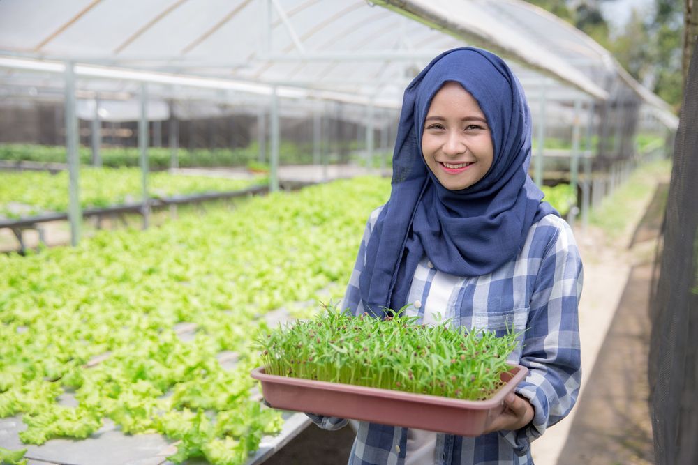 Petani milenial dok Jabar Ekspres. Fasilitasi Pengujian Produk Pertanian, Ini Cara BRIN Dukung Kemandirian Pangan